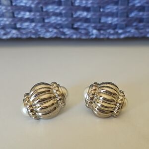 Silver Toned Earrings